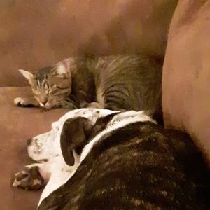 Meet your Posher, Jacqueline